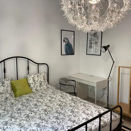 דירה Studio Clucerului 8