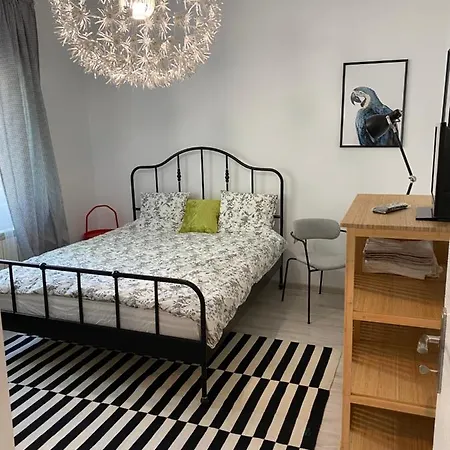 Studio Clucerului 8 * Bükreş