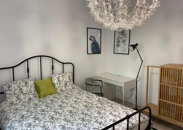 Appartement Studio Clucerului 8