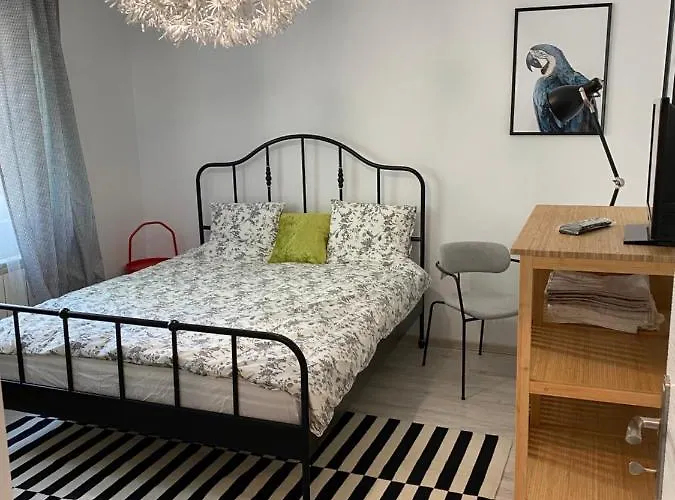 Studio Clucerului 8 * Bükreş